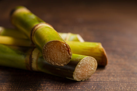 Ikshumool (Sugarcane Root) – Saccharum officinarum