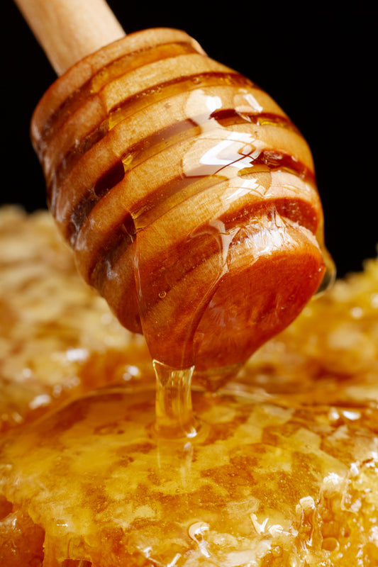 Madhu (Honey) – Apis mellifera / Apis cerana indica