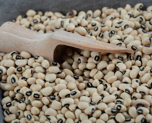 Kapikacchu (Mucuna pruriens / Velvet Bean / Cowhage)